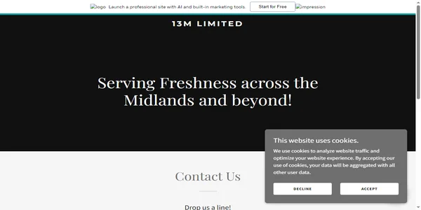 Screenshot of 13-m.com