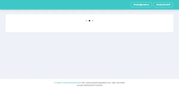 Screenshot of anice-care.com