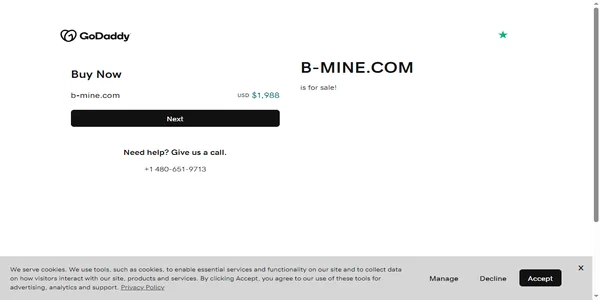 Screenshot of b-mine.com