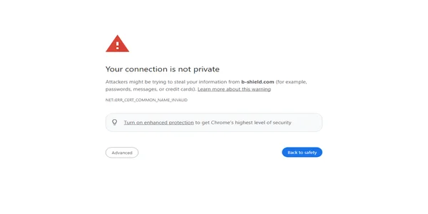 Screenshot of b-shield.com