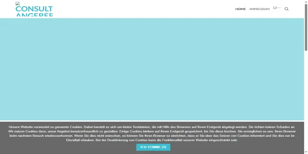 Screenshot of consulting-angerer.com