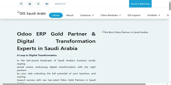 Screenshot of dis-sa.com