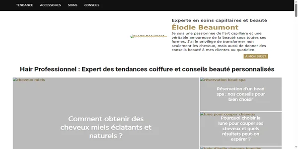 Screenshot of hair-professionnel.com