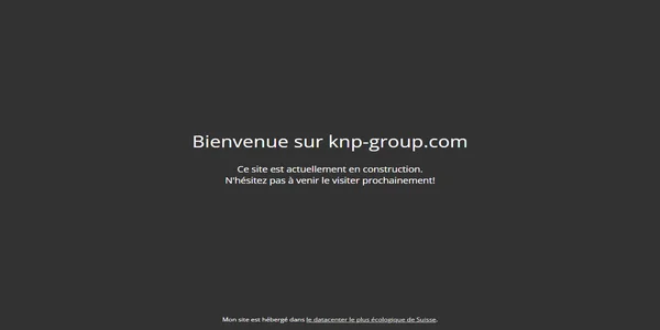Screenshot of knp-group.com