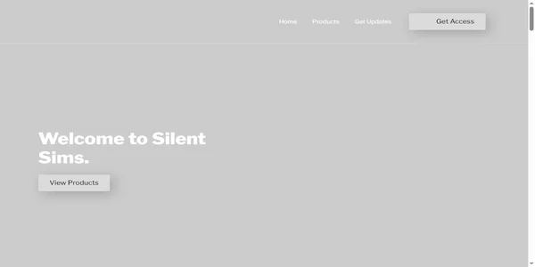 Screenshot of silent-sim.com