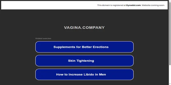 Screenshot of vagina.company