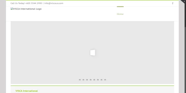 Screenshot of visca.us.com